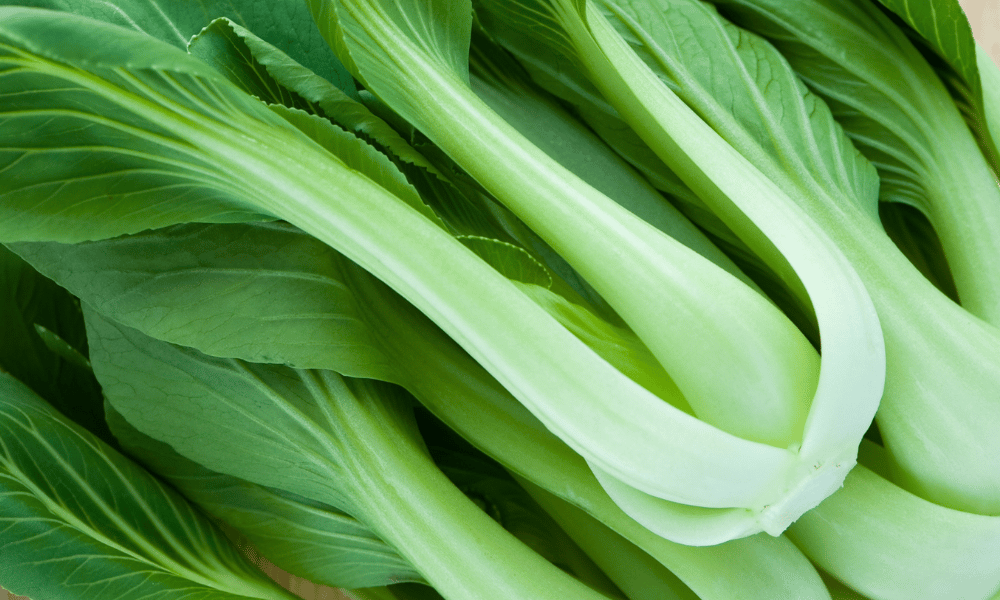 Blanching Bok Choy for Freezing: Yes or No?